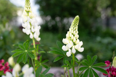 Similar image 22152879