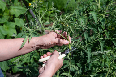 Similar image 22152278