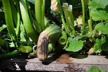 Similar image 22152282