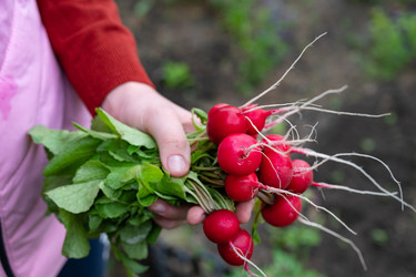 Similar image 22152283