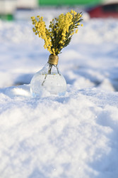 Similar image 22152374