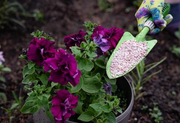 Similar image 22152377