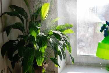 Similar image 22152383