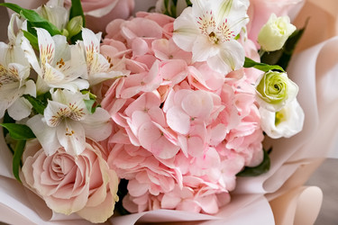 Similar image 22152385