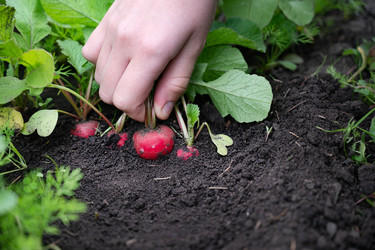 Similar image 22152388