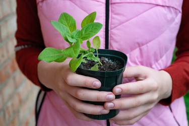 Similar image 22152390