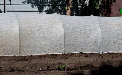 Similar image 22152392