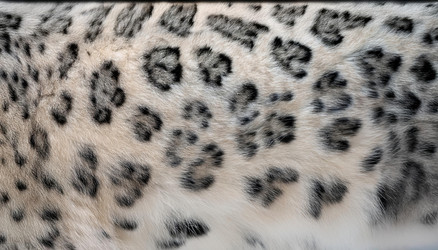 Similar image 22150907