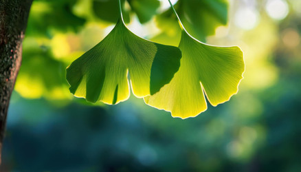 Similar image 22150919