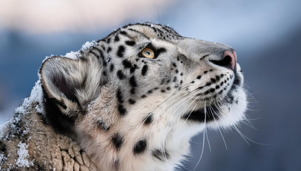 Similar image 22150936