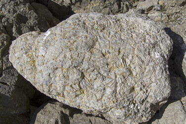 Similar image 22147983