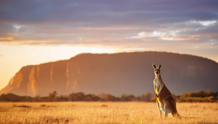 Similar image 22166036