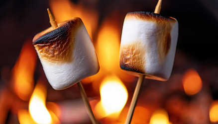 Similar image 22166093