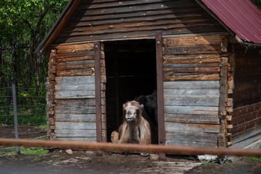 Similar image 22152399