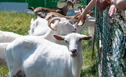 Similar image 22152400