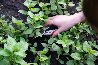 Similar image 22152401