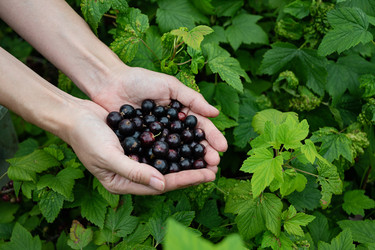 Similar image 22152408