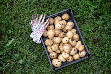 Similar image 22152411