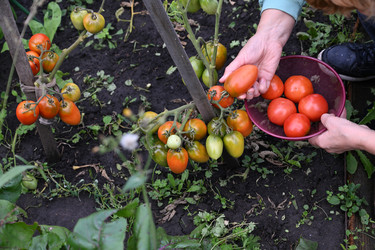 Similar image 22152413