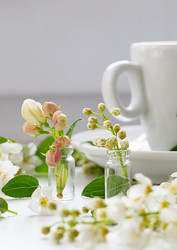 Similar image 22152416