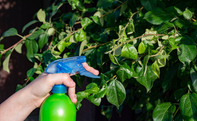 Similar image 22152418