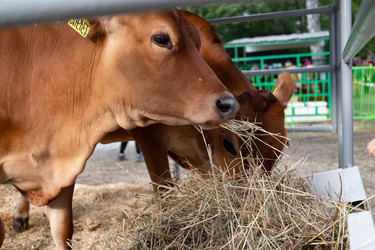 Similar image 22152424