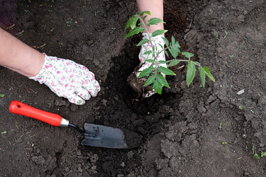 Similar image 22152428