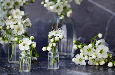 Similar image 22152431