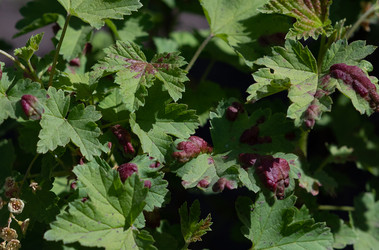 Similar image 22152435