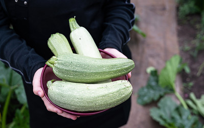 Similar image 22152438