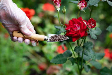 Similar image 22152440