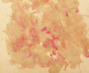 Similar image 22148212