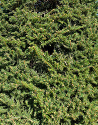 Similar image 22148226