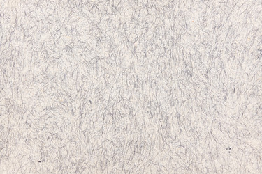 Similar image 22148246