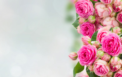 Similar image 22165138