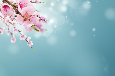 Similar image 22165139