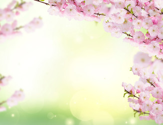 Similar image 22165140