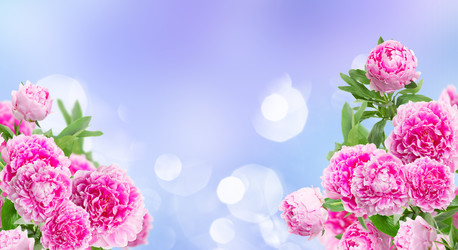 Similar image 22165141