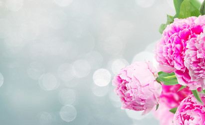 Similar image 22165142