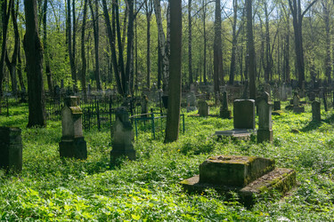 Similar image 22150062