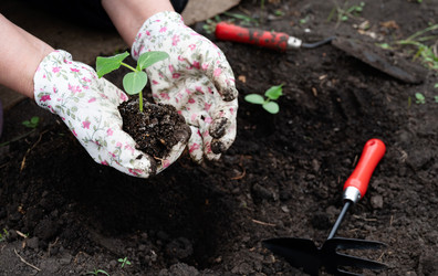 Similar image 22152446