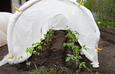 Similar image 22152448