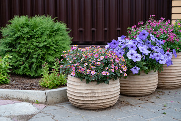 Similar image 22152449