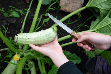 Similar image 22152451