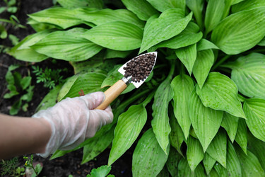 Similar image 22152453