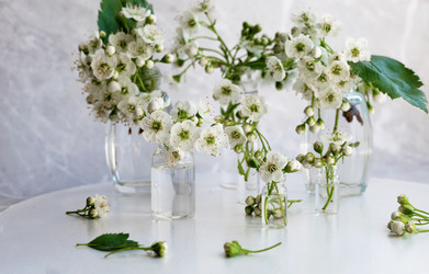 Similar image 22152456