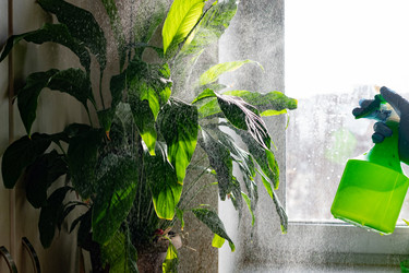 Similar image 22152458