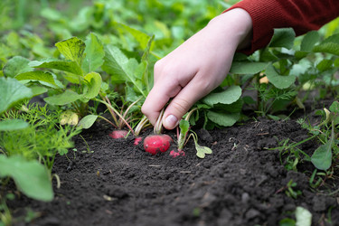 Similar image 22152463