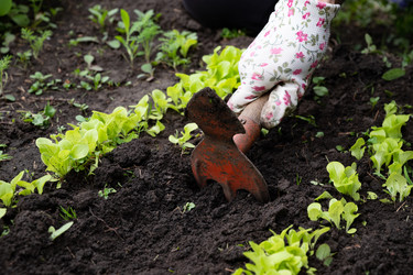 Similar image 22152465