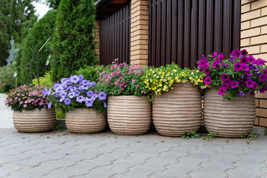 Similar image 22152467